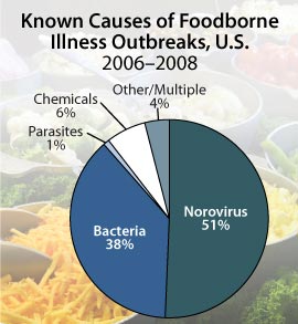 Figure 3: Known Causes of Foodborne Illness Outbreaks, U.S., 2006-2008. Norovirus 51%; Bacteria 38%; Chemicals 6%' Parasites 1%; Other/Multiple 4%.