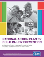 cover of the National Action Plan publication