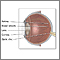 Anatomía lateral del ojo