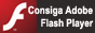 get_flash-icon_spanish