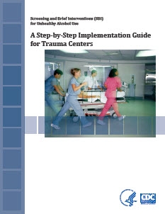 Cover: SBI Guide