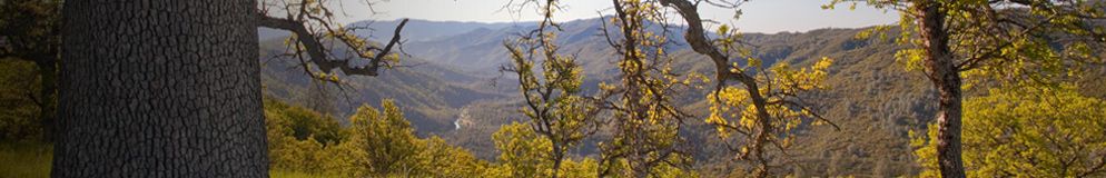Trees and shrubs cover the landscape with mountains in the background in the Cache Creek Wilderness Area.