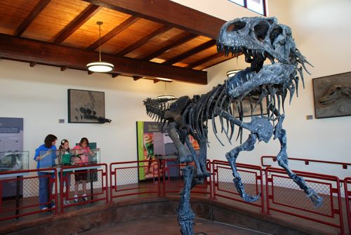 Mounted Allosaurus inside the Cleveland-Lloyd Museum