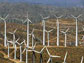 Photo of a wind farm in Texas.