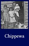 Chippewa (ARC ID 285395)