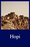 Hopi (ARC ID 544421)
