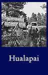 Hualapai (ARC ID 295235)