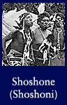 Shoshone (Shoshoni) (ARC ID 298649)