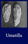 Umatilla (ARC ID 523711)