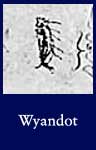 Wyandot (ARC ID 299800)