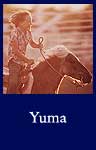 Yuma (ARC ID 549108)