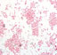Gram stain of Bordetella pertussis