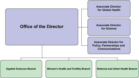 DRH Chart: Office of the Director, Associate Director for Program Development and Evaluation, Associate Director for Health Communication Science, Associate Director for Global Health, Associate Director for Science, Applied Sciences Branch, Maternal and Infant Health Branch, Women's Health and Fertility Branch