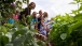 Epicurious Kids’ State Dinner Guests Tour the White House Kitchen Garden