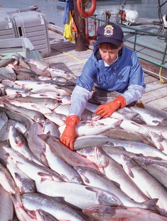 A woman looking at fish.