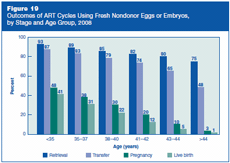 Figure 19: Outcomes of ART Cycles Using Fresh Nondonor Eggs or Embryos, by Stage and Age Group, 2008.