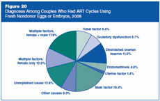 Figure 20: Diagnoses Among Couples Who Had ART Cycles Using Fresh Nondonor Eggs or Embryos, 2008.