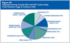 Figure 20: Diagnoses Among Couples Who Had ART Cycles Using Fresh Nondonor Eggs or Embryos, 2009.