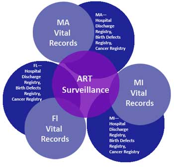 The purpose of this graph is to show that we link ART data with vital records from 3 states, which are, in turn, linked with other state-based surveillance systems and registries (hospital discharge registry, birth defects registry, cancer registry). 