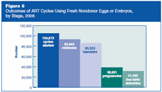 Figure 6: Outcomes of ART Cycles Using Fresh Nondonor Eggs or Embryos, by Stage, 2008.