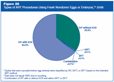 Figure 28: Types of ART Procedures Using Fresh Nondonor Eggs or Embryos, 2008.