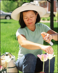 Photo: Woman applying insect repellent