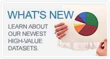 Learn about our newest high-value datasets