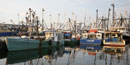 Fishing vessels in New Bedford harbor.