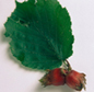 image of a hazelnut plant
