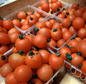 Photo: batch of tomatoes