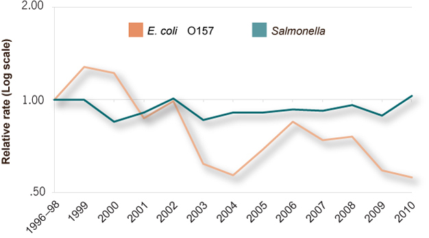 This line graph shows the change in the relative rates of E. coli O157 (STEC O157) and Salmonella infections from 1996 to 2010.  The relative rates of infection by year