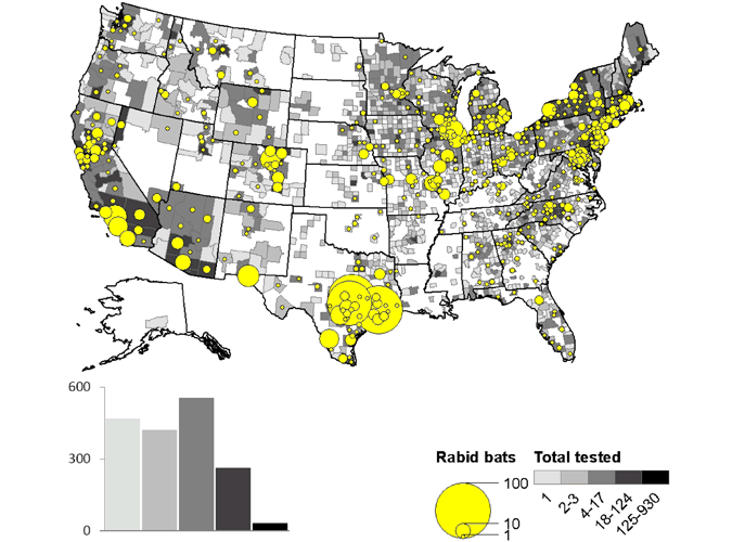A map of rabid bats reported in the United States during 2010.
