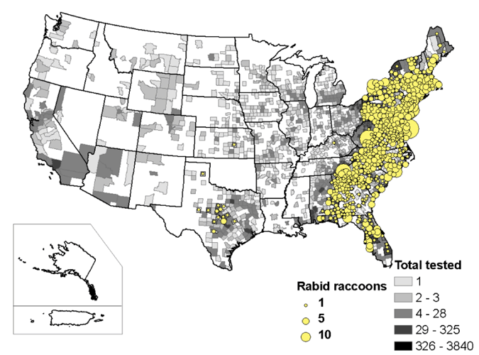 A map of rabid raccoons reported in the United States during 2009.
