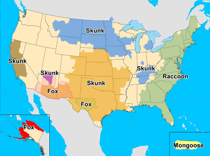 Map of rabies reservoirs in the United States during 2010