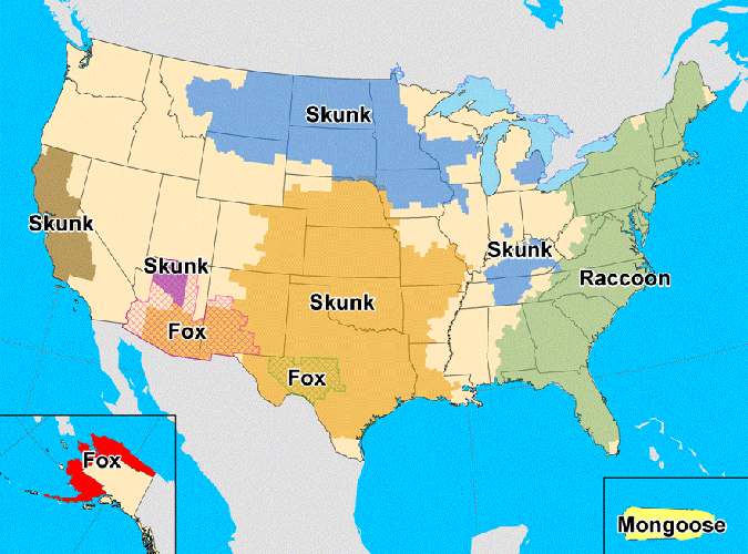 A map of terrestrial rabies reservoirs in the United States during 2010.
