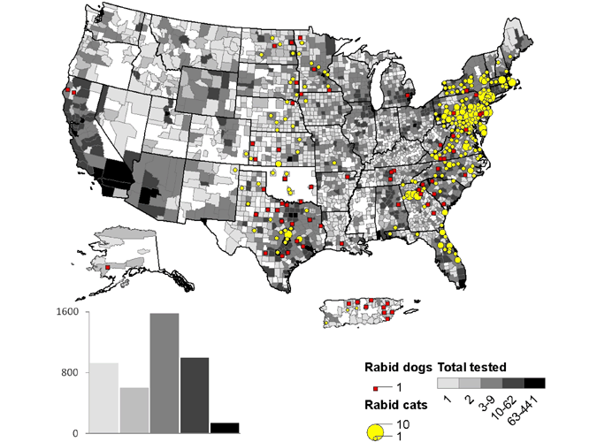 A map of rabid dogs and cats reported in the United States during 2010.