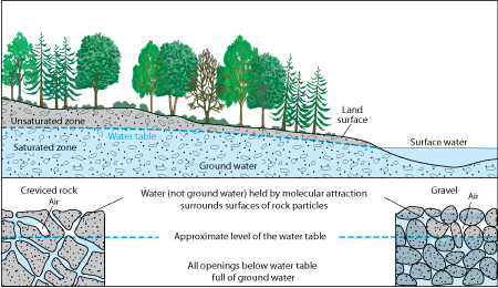 Figure detailing ground water in relation to the environment (trees, land, water surface, etc.)