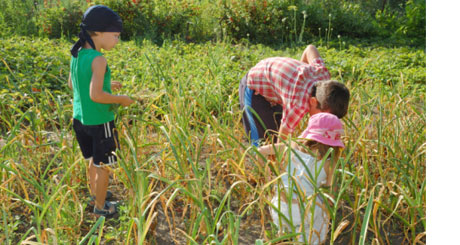 Child Labor in Agriculture