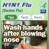 H1N1 Flu (Swine Flu) Widget