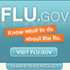 2009 Flu Info Widget