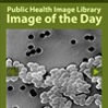Public Health Image Library Image of the Day (Green)