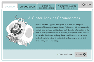 Chromosome