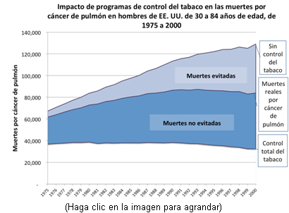 Este gráfico presenta los índices de mortalidad por cáncer de pulmón de 1975 al 2000, bajo los tres escenarios estudiados por los investigadores; i. e., Sin control del tabaco, Control real del tabaco y Control total del tabaco. Este gráfico ofrece datos de hombres de Estados Unidos.