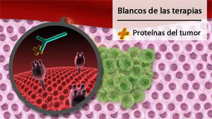 Ilustración de un medicamento dirigido uniéndose a los receptores del factor de crecimiento de una célula cancerosa.