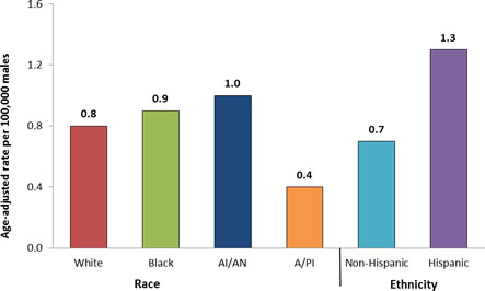 Graph showing the age-adjusted incidence rates for penile cancer in the United States during 2004 to 2008 by race and ethnicity.