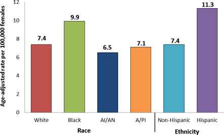 Graph showing the age-adjusted incidence rates for cervical cancer in the United States during 2004 to 2008 by race and ethnicity.