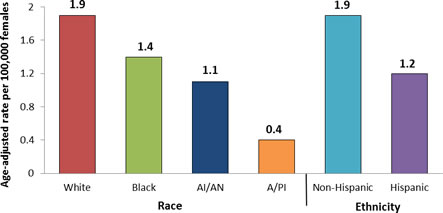 Graph showing the age-adjusted incidence rates for vulvar cancer in the United States during 2004 to 2008 by race and ethnicity.