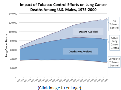 This line chart plots lung cancer death rates from 1975-2000, under the three scenarios studied by the researchers; i.e., No Tobacco Control, Actual Tobacco Control, and Complete Tobacco Control. This chart provides data for U.S. Men.