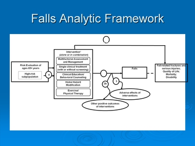 Falls Analytic Framework. Text Description is below the image.