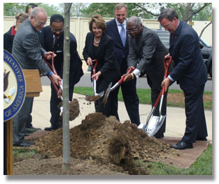 Speaker Pelosi  planting a tree